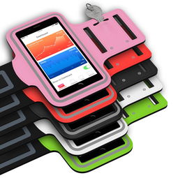 乐鱼体育官方登录网站-智能体育设备用户行为分析，智能体育设施