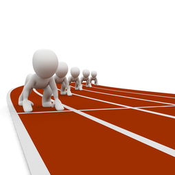 乐鱼体育官方-青少年体育运动安全教育体系构建研究,青少年体育教育的重要性