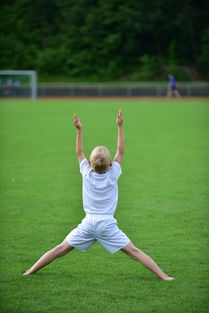 乐鱼体育官方-高校运动训练动态管理机制探索,运动训练过程调控与参赛指导