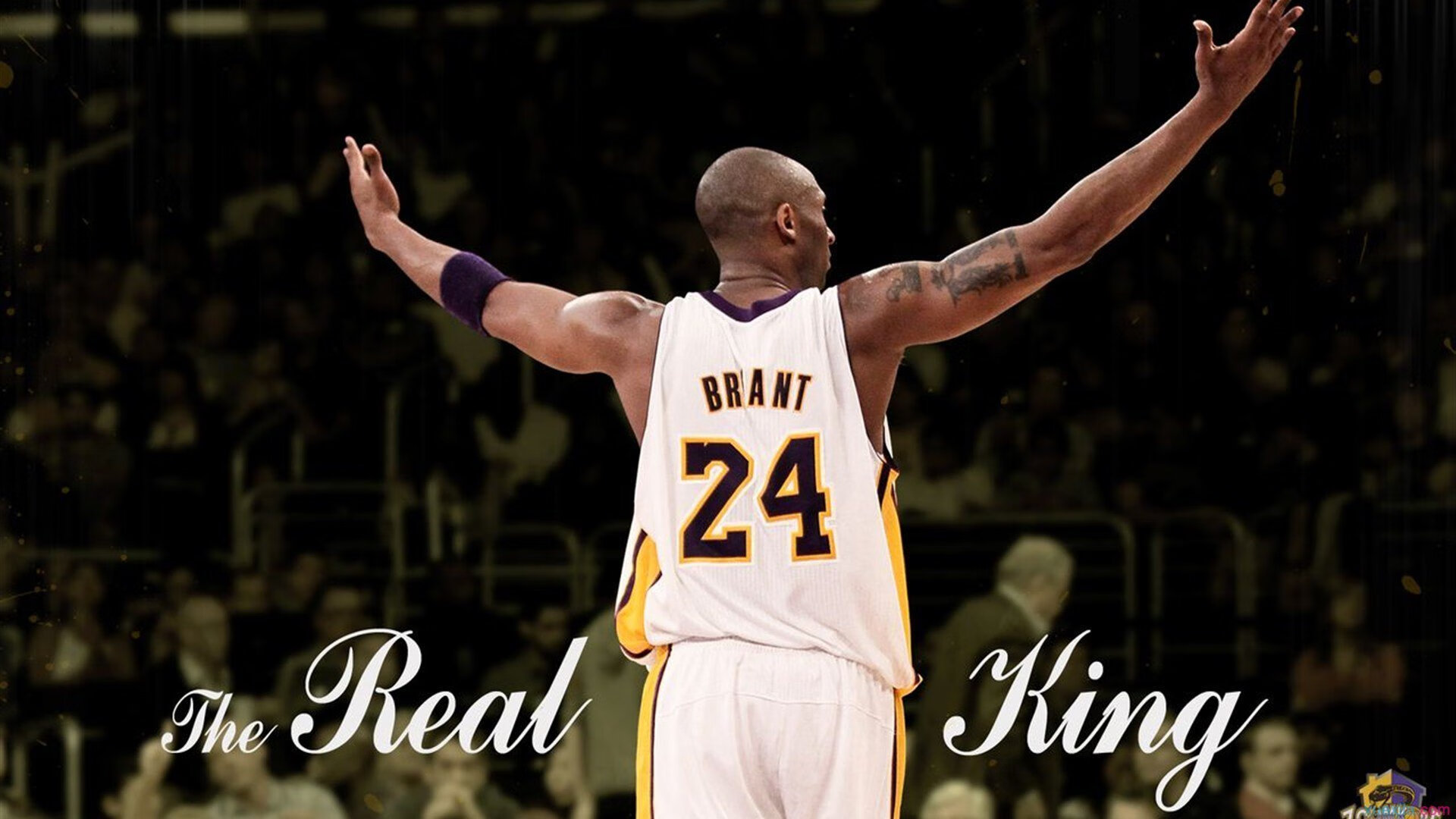 乐鱼中文网站-“荒野追击：沙漠与山林的极限战斗”，荒野 沙漠