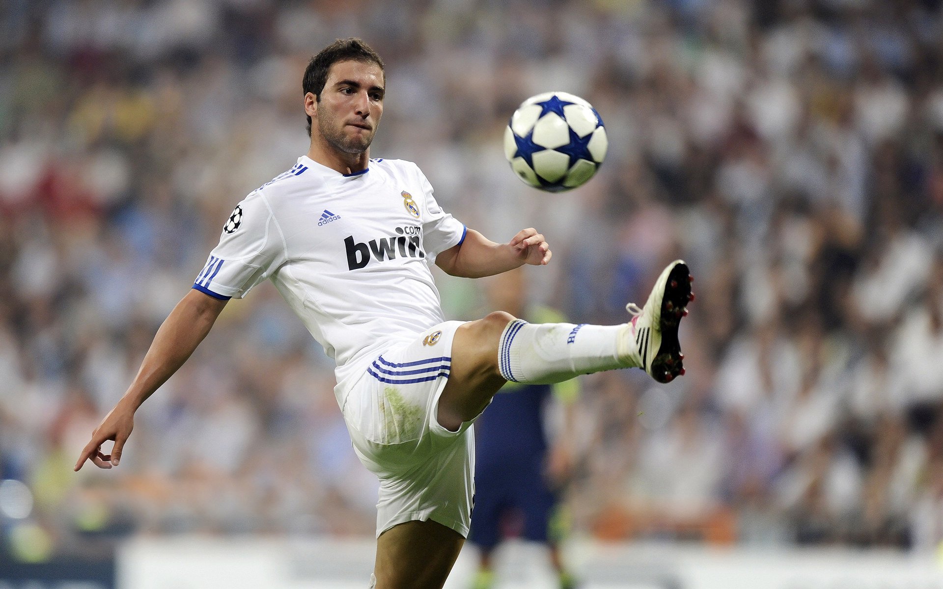 “青训名师讲座火爆，传授中国足球成长秘诀”，中国足球青训人才